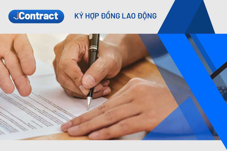 loại hợp đồng 2